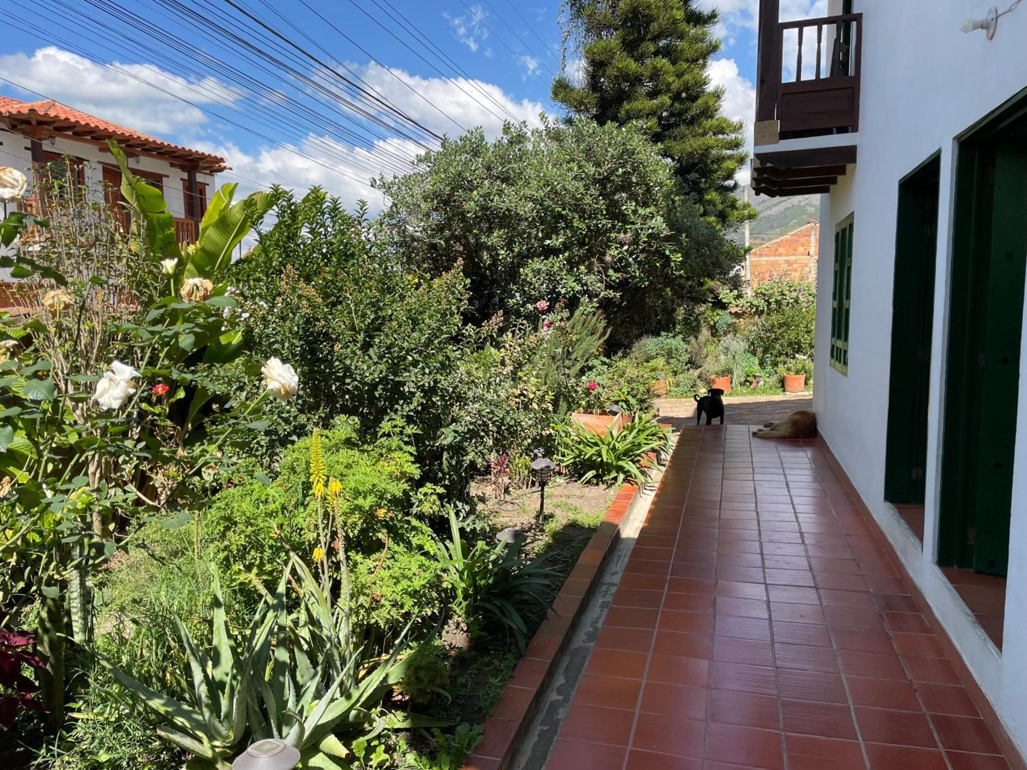 וילה דה לייבה Hostal El Pino מראה חיצוני תמונה